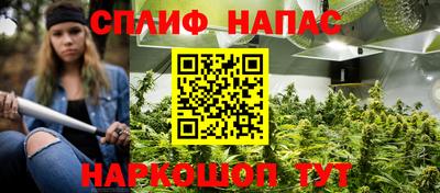 тгк Сланцы
