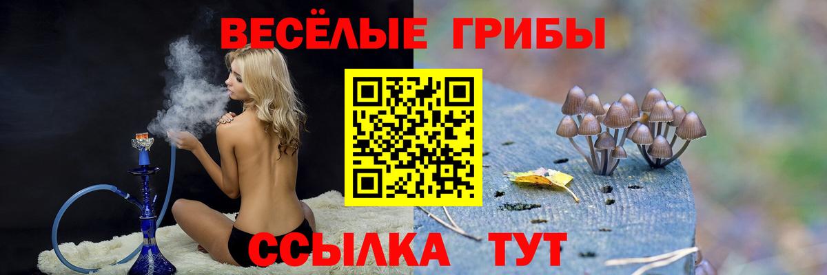 где купить наркоту  Галлюциногенные грибы Psilocybe  Вход с VPN  Новороссийск 